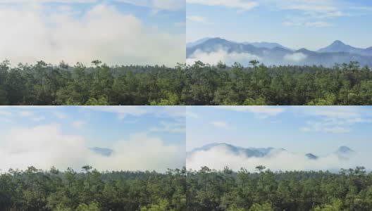 4K时间以422HQ格式准时拍摄云雾、天空、森林和山脉运动。高清在线视频素材下载