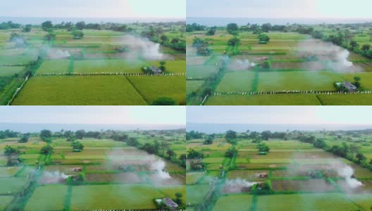 鸟瞰印尼巴厘岛阿米德的绿色稻田和玉米田高清在线视频素材下载