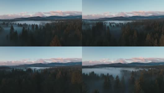 空中拍摄的森林与雾和山的背景高清在线视频素材下载