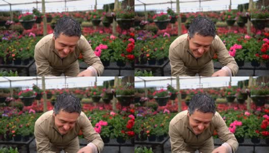 友好的工作人员检查花卉植物在园艺中心高清在线视频素材下载