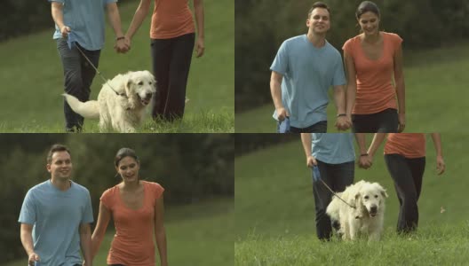在乡下的一对夫妇和一只狗高清在线视频素材下载