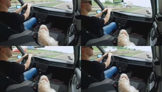 Man enjoys the ride home as much as his dog!高清在线视频素材下载