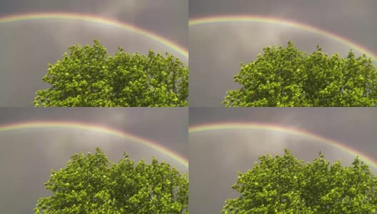 栗树上美丽的彩虹高清在线视频素材下载