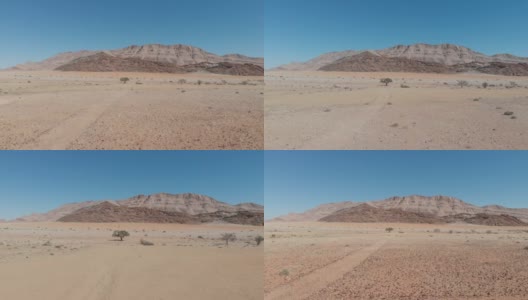 无人机朝着非洲纳米比亚沙漠中的金合欢树飞行，背景是一座小山。一棵背景中有小鸟和蓝天的树。遥远的沙漠里的尘土和沙子。冈瓦纳沙漠。高清在线视频素材下载