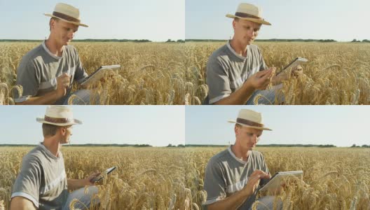 农民在田间使用数字平板电脑高清在线视频素材下载