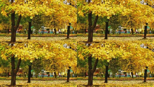 秋天在城市公园里高清在线视频素材下载