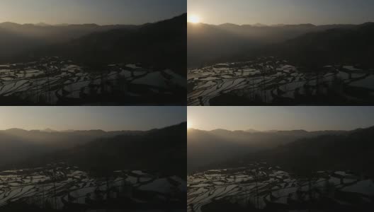 稻田的日出高清在线视频素材下载