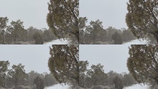 横风暴风雪暴风雪期间强风科罗拉多冬季降雪山区沙漠和河流极端天气条件系列视频高清在线视频素材下载