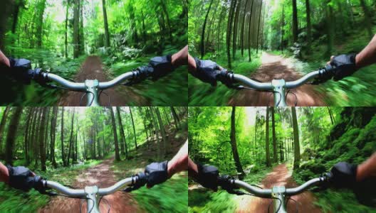 POV山地自行车通过绿色森林真实摄像头拍摄高清在线视频素材下载