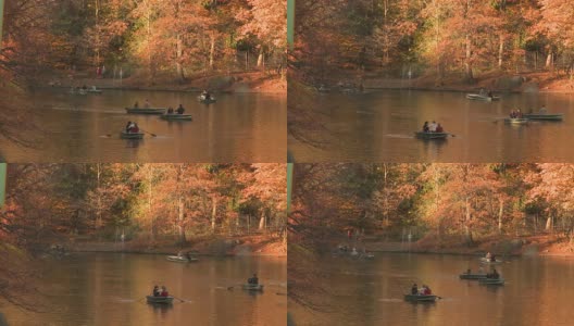 在纽约中央公园的池塘上划船高清在线视频素材下载
