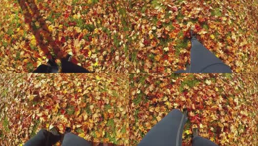 慢动作个人透视Walking In autumn leaves高清在线视频素材下载