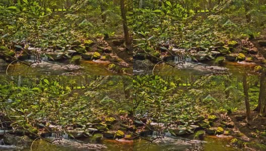 河流和森林岩石高清在线视频素材下载