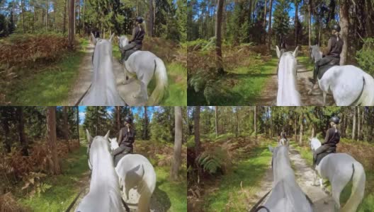 POV和朋友骑马穿过森林高清在线视频素材下载