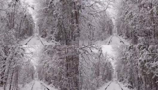 4 k。冬季自然隧道与铁路公路的鸟瞰图。Klevan,乌克兰。风景如画的冰冻森林，有白雪覆盖的云杉和松树。冬天的林地。无人机在树间飞行。高清在线视频素材下载