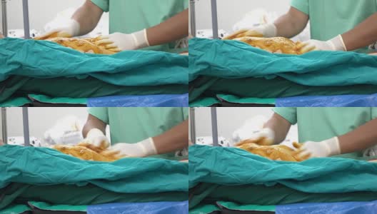擦洗护士在手术前使用医用溶液清洗皮肤高清在线视频素材下载