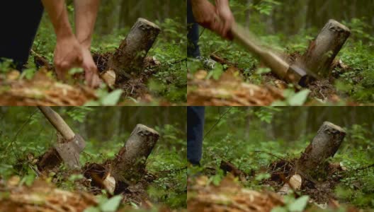 一个人把砍下来的老树桩敲掉高清在线视频素材下载