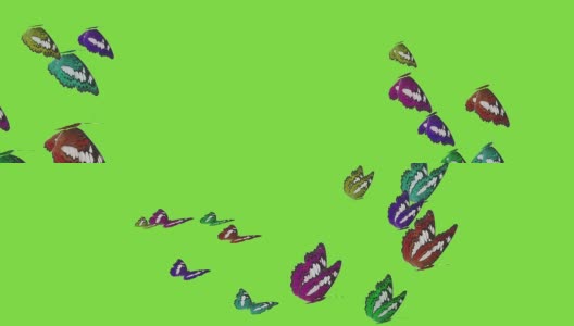 蝴蝶动画绿屏春高清在线视频素材下载