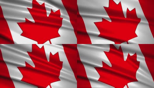 近距离挥舞加拿大国旗，可循环高清在线视频素材下载