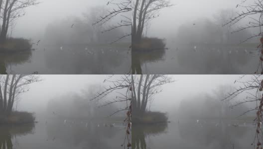 雾蒙蒙的秋日早晨，在城市的湖滨高清在线视频素材下载
