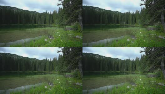 森林中的湖泊高清在线视频素材下载