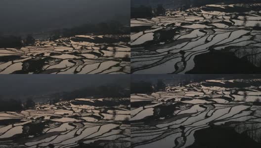 稻田的日出高清在线视频素材下载