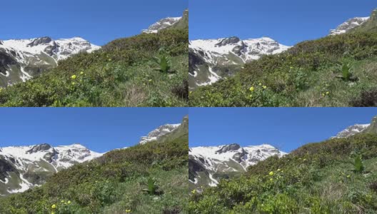 景观Hohe Tauern第4/1部分高清在线视频素材下载
