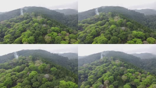 鸟瞰图热带森林与山脉的背景高清在线视频素材下载