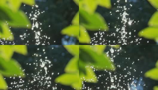 高清慢镜头:阳光下闪闪发光的水滴高清在线视频素材下载