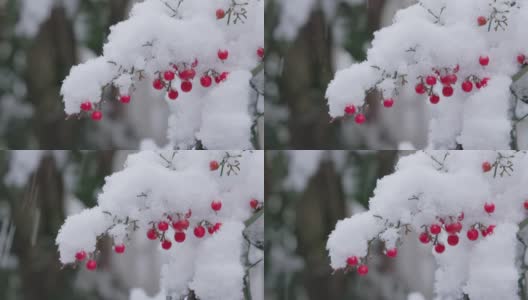 东京南部的天空和大雪高清在线视频素材下载