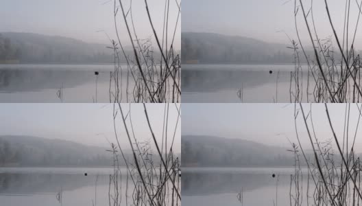 瑞士的一个小湖——埃斯基湖高清在线视频素材下载