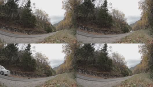 白色汽车拉力赛穿过森林到达最后终点高清在线视频素材下载