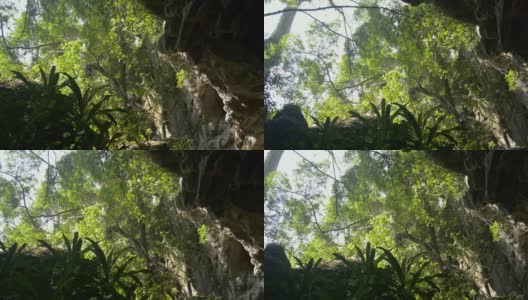 在夏季，从石灰岩洞穴内透过室外，可以看到美丽的绿色植物覆盖在热带森林中的岩石山上。高清在线视频素材下载
