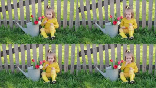穿着胶靴的女婴坐在旧木栅栏旁，旁边是一束春天的郁金香，她正在甜甜地吃着棒棒糖。高清在线视频素材下载