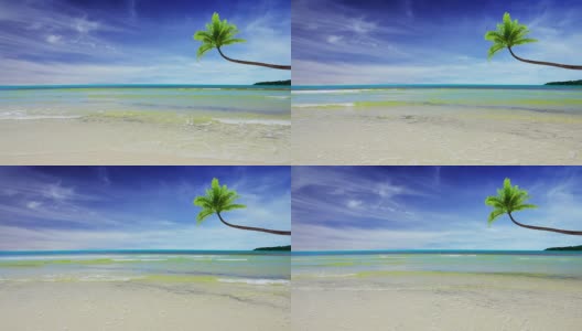 Palm和海景高清在线视频素材下载