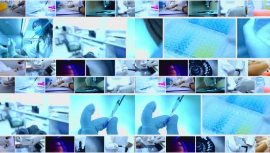 科学家和生物实验室实验高清在线视频素材下载