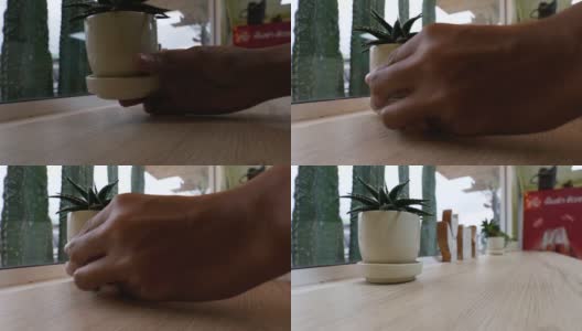 一个男人用手把一个芦荟花盆放在桌子上。高清在线视频素材下载