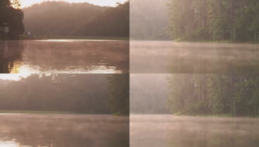 阳光照耀松林与雾在早上在庞荣，湄洪森，泰国高清在线视频素材下载