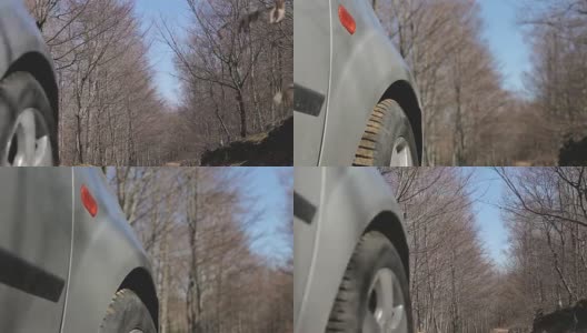 开车穿过森林高清在线视频素材下载