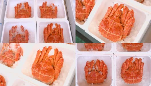 日本北海道札幌日本鱼市的塔拉巴加尼阿拉斯加王蟹高清在线视频素材下载