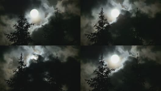 夜晚有满月和松树高清在线视频素材下载