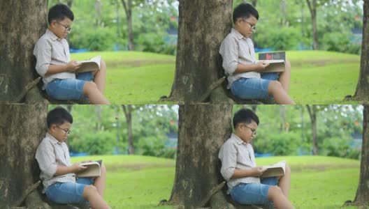 在一个阳光明媚的日子里，一个小男孩坐在树下，看着树叶从树上飘落的慢镜头看书。高清在线视频素材下载