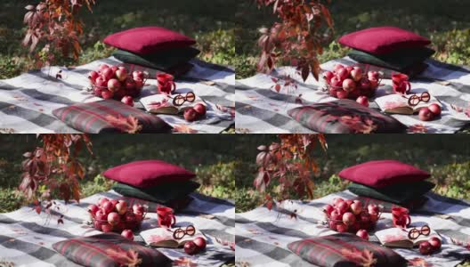 秋天天气暖和。印度的夏天。在花园里野餐——在秋叶的背景上，灰色、紫红色和绿色的毯子和枕头。有选择性的重点。高清在线视频素材下载