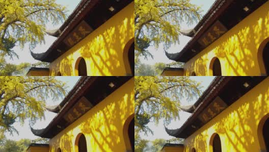 苏州西苑寺风光视频1-19 4K实景拍摄高清在线视频素材下载