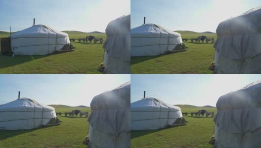 蒙古草原上的白色蒙古包帐篷和牛车高清在线视频素材下载