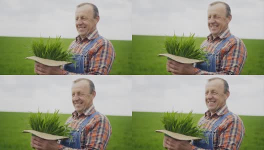 年长的男性农民，帽子里戴着绿色植物高清在线视频素材下载