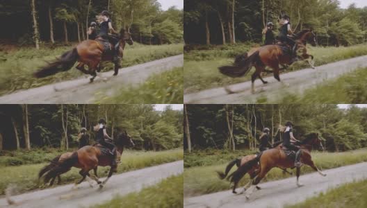 两位女骑手骑在飞马雄伟的茂盛森林高清在线视频素材下载