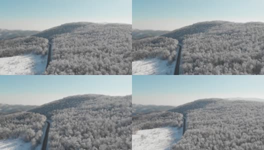 冬天的森林在雪地里被阳光的光芒照亮高清在线视频素材下载