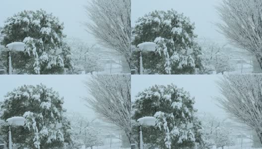 雪覆盖了公园。日本东京高清在线视频素材下载