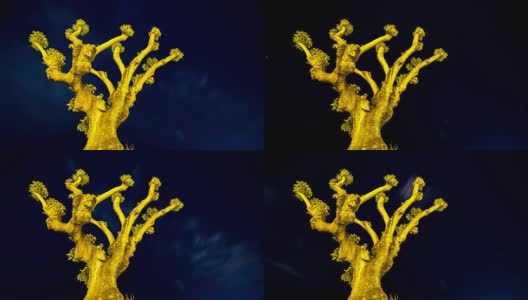 夜景单橄榄树盆景树移动云银河和星星高清在线视频素材下载