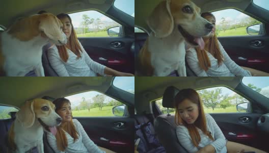 一个年轻女人和一只狗在路上高清在线视频素材下载